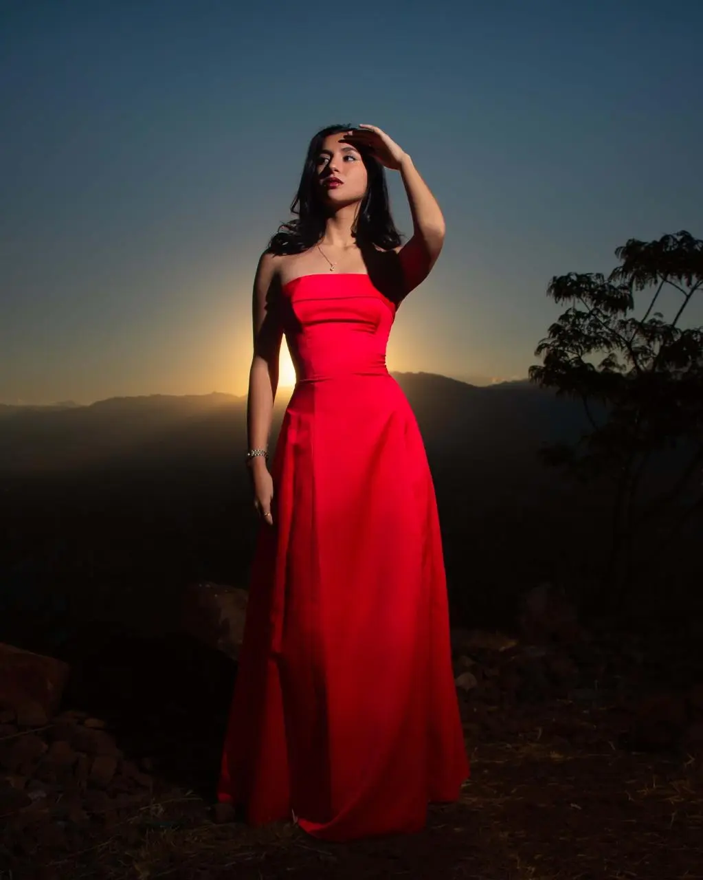 Silueta al Atardecer